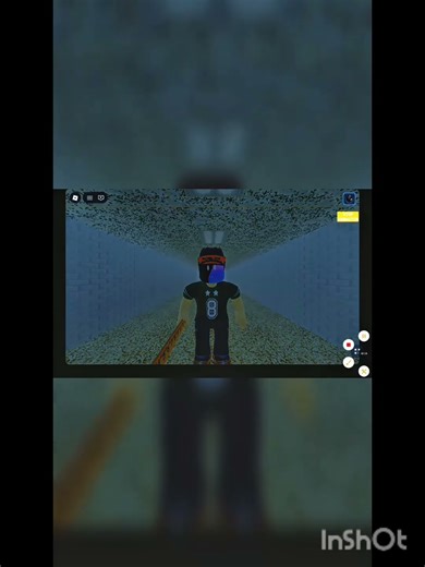 balids basics ROBLOX animation!