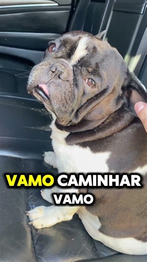 Aniver do thor 7 anos de muito amor