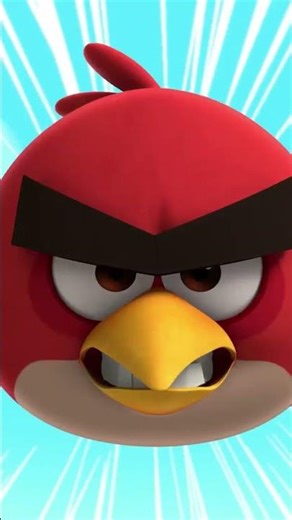 So this happens when Pigs Pop... 😲