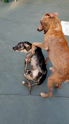 ❤️ | Erica Kamisaki