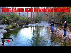 Trout Fishing Near Downtown Cherokee