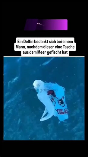 DAS INFOHAUS | Ein Mann entdeckt im Wasser ein Objekt, das einer Qualle ähnelt, doch es entpuppt sich als gewöhnliche Plastiktüte – eine der... | Instagram