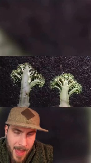 CONNECTING CONSCIOUSNESS on Instagram: "Damn… thoughts? If you think it’s time to detox and rejuvenate … comment “free” below and check your DMs"