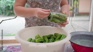 pickling cucumbers. the process of placing cucumbers in jars. woman canning cucumbers in glass jars at home for the winter. canned vegetables. eco product.