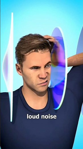 Why Eardrums Burst From Loud Noises 😨 - Meme