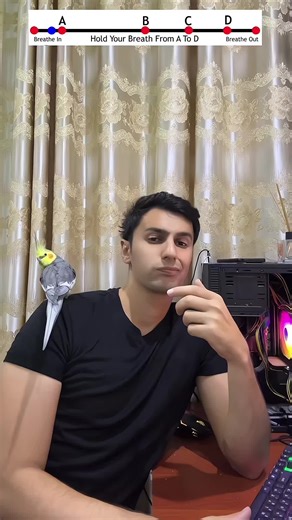 Breath-Holding Challenge: Can You Last Until the End?