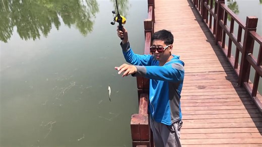 使用飞蝇钩时需要加瓜子亮片吗？