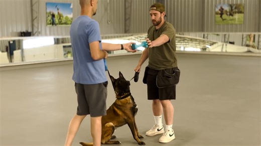 This retrieve session shows how timing and pressure can reshape a dog’s performance