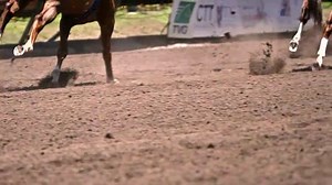 2-year-old fillies will be in the spotlight at Los Al next in the Soviet Problem Stakes! Join us now for the race live. #BetWithTVG | FanDuel Racing