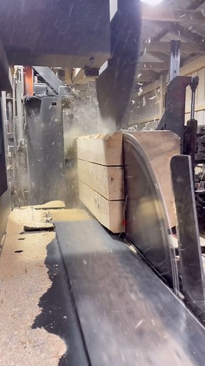 21K views · 1.1K reactions | Ripping Cants off of a 22 inch block requires fresh edger teeth! It takes me around 5 minutes to change the set in an edger blade! I’ll lay this block open after I get them changed. Go check out my YouTube channel! That’s where most of the fun is. The link is in my bio #saw #lumberjack #sharp #wood #satisfying | Sawyerpool95 | Facebook