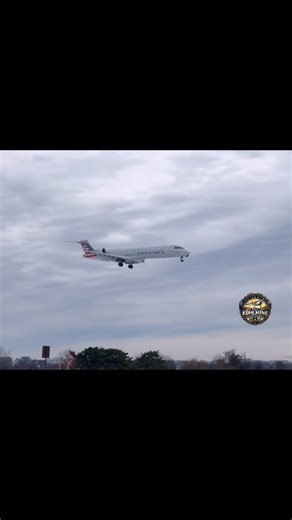American Airlines pilots meowing on ATC frequency? #thekohlmine #plane #aviation