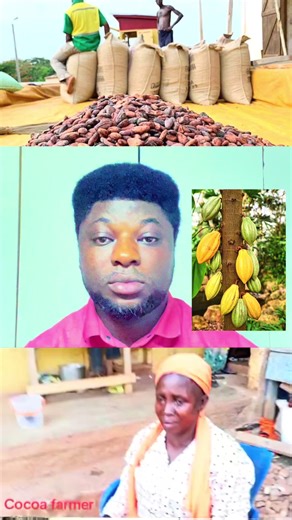 A woman praised Mahama for reducing cocoa prices, saying that he is using cocoa funds to build roads across the country, unlike the NPP who she says did not build roads with cocoa money. She added that if prices rise when the roads are finished, it would be ok.