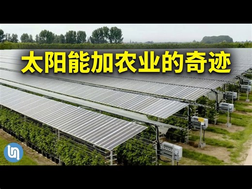 【中配】农光互补：太阳能与农业结合的深度解析 - Undecided with Matt Ferrell