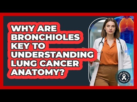 Why Are Bronchioles Key To Understanding Lung Cancer Anatomy? - Lung Cancer Support Hub