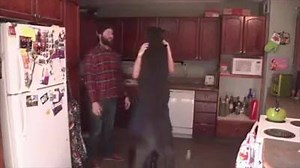 1.2K views · 26 reactions | That dog! | I found this: | Facebook