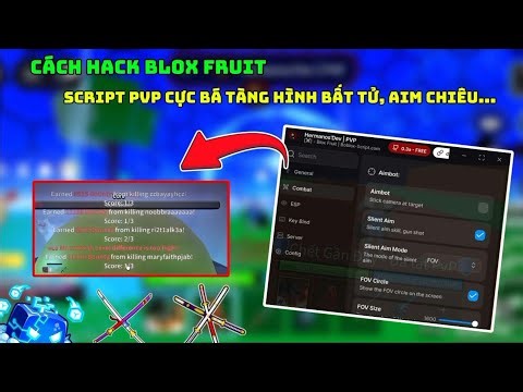 Cách Hack Blox Fruits Script Pvp Tàng Hình Bất Tử, Aim Chiêu, Lockcam, Tăng Hit Box No Key cực bá 