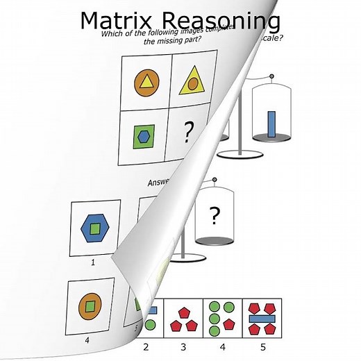 Practice Book for the WISC-V Test