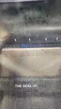 The Ultimate Guide to DIY Sifting Towers for Frass Collection