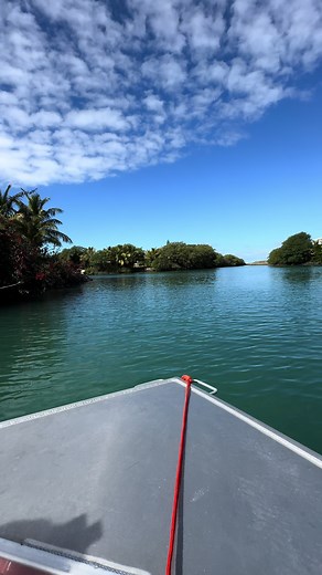 #nouvellecaledonie 🌺