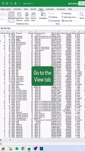 Can you FOCUS on this tip for 20 seconds? 👁️👁️ #excel #exceltips #cheatsheets #computer #education