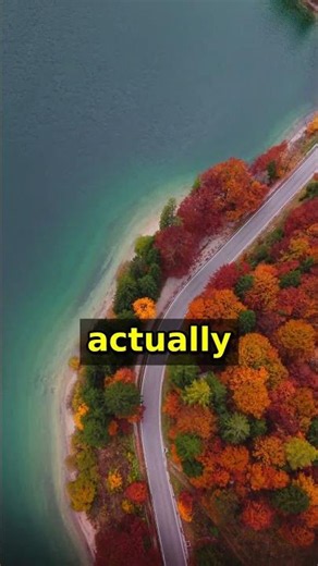 How Camera Sensors REALLY Capture Light