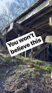 See full vids on YouTube Exploring Alabama #reels #treasure #rare #wow #amazing #love #happy #family #life #support #monetization #alabama #exploringalabama #outdoors #crazy #odd #stray #abandoned #cat #rare #dog #straycat #Facebookreelscontests | Exploring Alabama