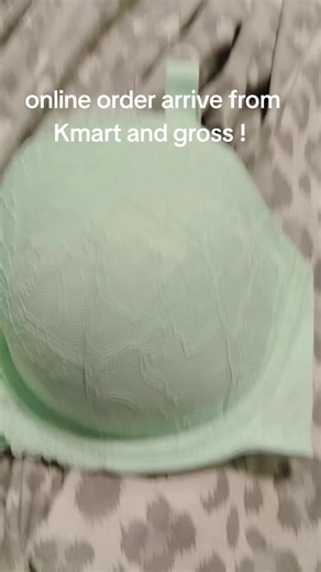 Kmart Order Gone Wrong: A Surprising Arrival