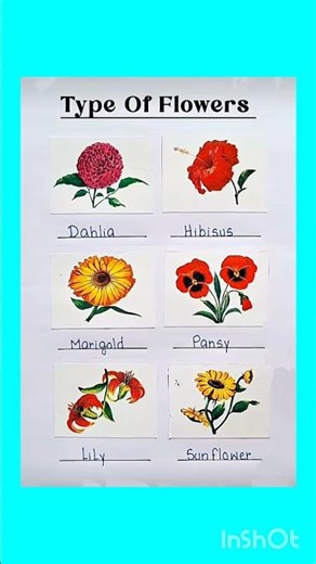 Types Of Flowers 🔥