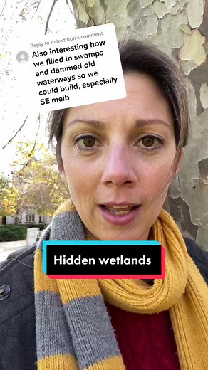 Exploring Hidden Wetlands in Urban Ecology