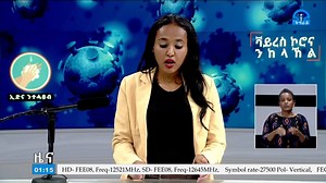 32K views · 395 reactions | ምክትል ፕረዚደንት ላዕለዋይ ቤት ፍርዲ ክልል ትግራይ ኣይተ ተስፋይ ገ/መድህን ቤት ምኽሪ ፌዴሬሽን ኣብ ዘሕለፎ ውሳነ ኣድህቦም ዝሃብዎ መብረሂ፡፡ | Tigrai Television | Facebook
