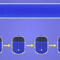 视频: 填充床反应器中的反应动力学和蔗糖转化