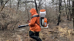 Swarm buster: Mosquito control gets larvicide permit to battle biters in Wellfleet