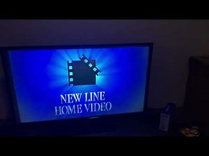 Opening To Magnolia 2000 DVD