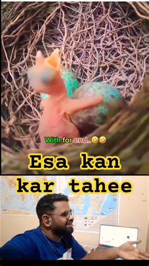 Sab Khatam Ho geya #shorts #shortsviral #shortvideo #memes #funny #comedy #pets #animals #viral