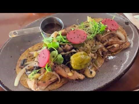 7 Days in Mérida Mexico 🇲🇽 | Soft Life Travel for Women 50+