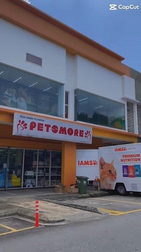 IAMS Truck Sampling happening today! 🤩 #PetsmoreMalaysia #lovemore #iamstrucksampling #catfood ##petfood #catsoftiktok #catloversday #animallovers #petlovers | Petsmore
