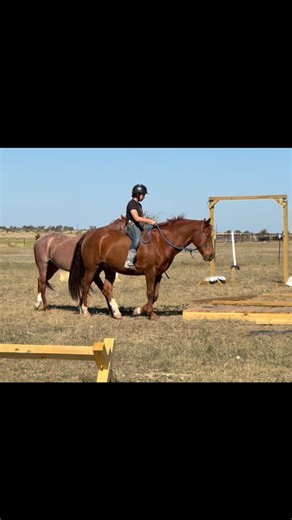 87 reactions · 6 comments | When you can’t fit your boot in a stirrup...
