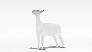 3.4K views · 562 reactions | Introducing the perfect show lamb: The one that checks all the boxes for Dr. Clay Elliott, Purina small ruminant technical specialist. From explosive muscling to that look-at-me profile, our supplements can help you on your pursuit of perfection. Follow the link for Clay’s tips and tricks on nutrition. | Purina Show | Facebook