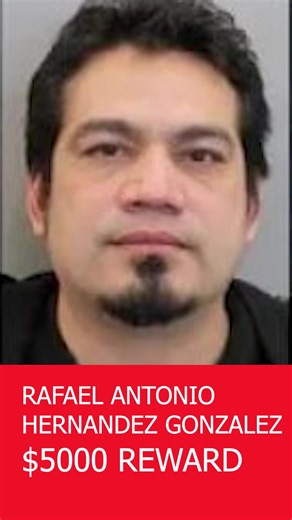 HPD, FBI - Houston, Harris County Sheriff's Office and our other partners need your help to capture these violent fugitives on the Houston Most Wanted list. They are wanted for heinous acts, including murder. Call in information to Crime Stoppers at 713-222-TIPS or the FBI at 1-800-CALL-FBI for rewards up to $50,000. | Houston Police Department