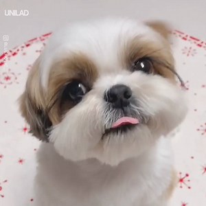 Listen to his little growl tho 😂😍 | UNILAD