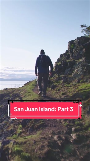 How did rare limestone end up on San Juan Island? Let’s find out! #learnontiktok #geology #sanjuanisland #washingtonstate #hiking