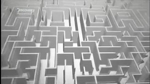 Oszukać Umysł Zobaczyć znaczy uwierzyć (dokument Discovery) lektor PL