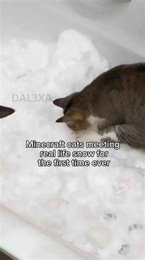 Minecraft Cat 🤫 #relatablememes