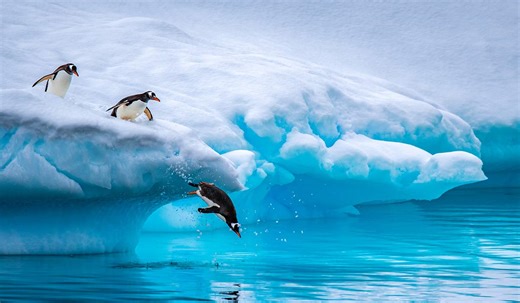 Tropical Sky unveils dreamy trips for 20th anniversary