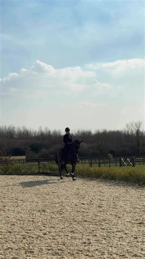 The Song Made for the Queen in Dressage