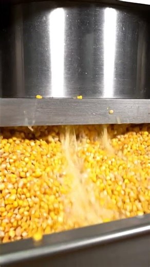 Fruit Press Experiment - Amazing Juicy Results! #Juicy Pressure#Crushing #ASMRFruitPress#foryou#w