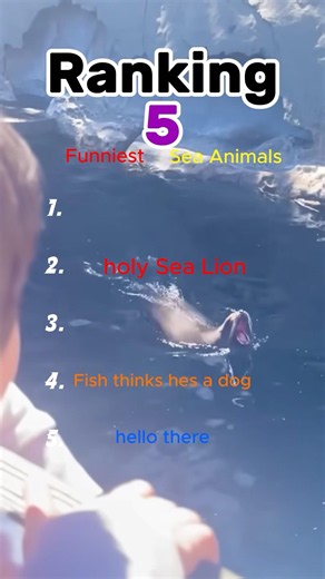 Top 5 Funniest Sea Animal Moments 😂 #Shorts
