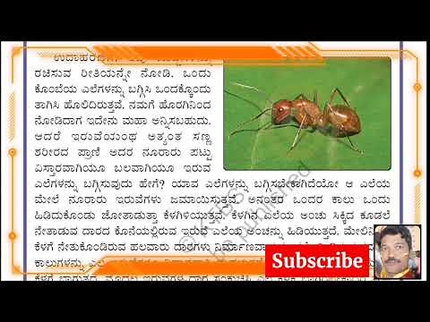 class 7th Kannada lesson 6 chagali iruve