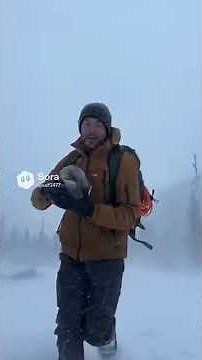 He Found A Frozen Pile Of Wolves In Serbia 😱🐺 (ai story) #shorts