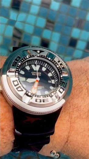 Citizen Professional 300m eco-drive Ecozilla